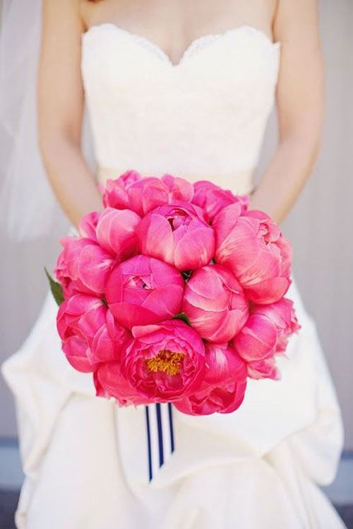 Bright Pink Peonies