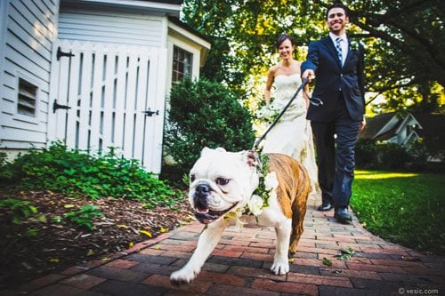 pets at weddings