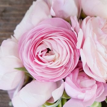 spring wedding flowers spring wedding flowers