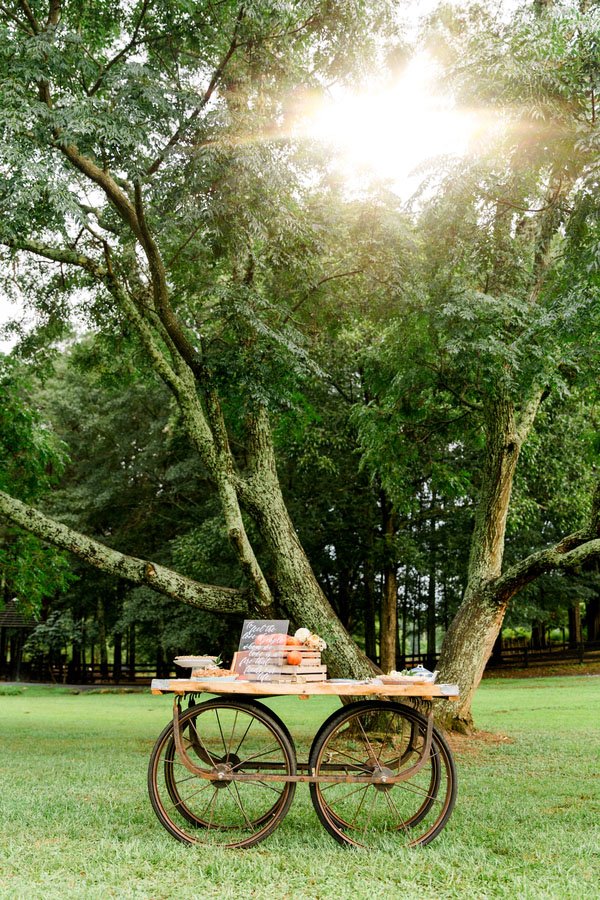 real-wedding-debbie-neff-photography-wedspiration-006