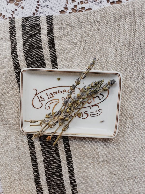 french provencal wedding