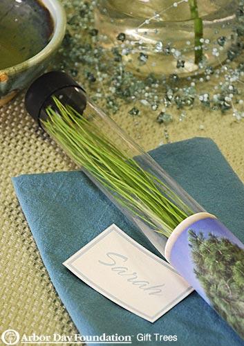 wedding-favor-charity